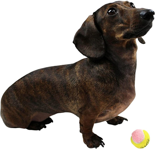 X-Small Dog Tennis Balls 1.5" Pack of 12 | Puppy Mini Fetch, Pet Little Tennis Balls, Yellow/Pink