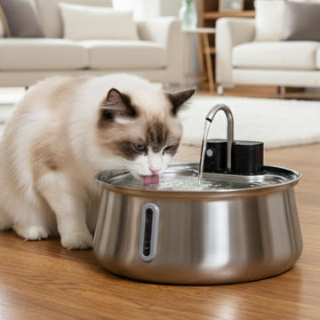 Stainless Steel Battery-Operated Dog & Cat Water Fountain, 4-L | Cordless Pet Fountain with Faucet-Style Flow, Automatic Water Dispenser for Cats Indoor, Motion Sensor, 3 Flow Modes